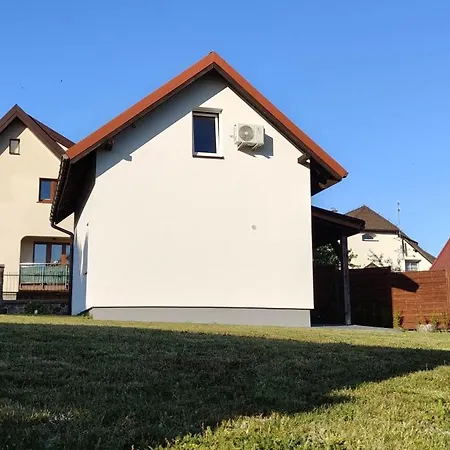 Olivia Wilkasy, Mazury *