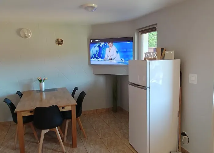 Olivia Wilkasy, Mazury 维尔卡瑟